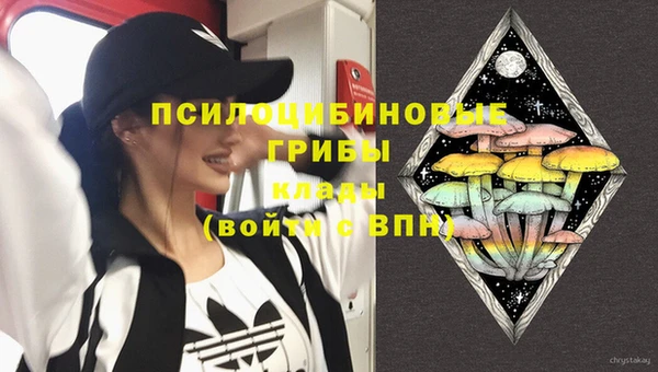 прущий лед Аркадак