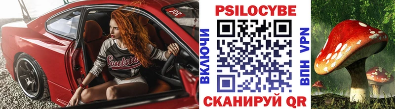где можно купить   Старый Оскол  Галлюциногенные грибы GOLDEN TEACHER 